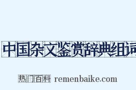 中国杂文鉴赏辞典组词是什么意思的图片